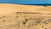 645: 726159-sand-drift-behind-Corralejo-Beach.jpg