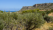 1: 909137-landscape-eastern-of-Malia-Crete.jpg