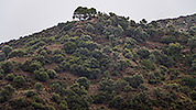 268: 909739-landscape-near-El-Greco-Museum-Fodele-Crete.jpg