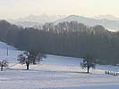 4: 03335-Winterlandschaft-mit-Rigi.jpg