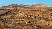 207: 724828-Fuerteventura-landscape.jpg