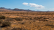 229: 724862-Fuerteventura-desert-landscape-3.jpg
