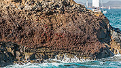 379: 725276-red-crabs-on-rocks-of-isle-Los-Lobos.jpg