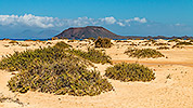 632: 726139-Corralejo-Beach-Fuerteventura+Los-Lobos+Lanzerote.jpg