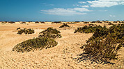 633: 726140-landscape-behind-Corralejo-Beach-Fuerteventura.jpg