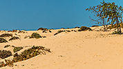 636: 726145-sand-dune-Fuerteventura.jpg