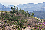 325: 037142-Berglandschaft-Gran-Canaria.jpg