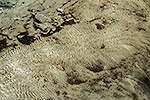 187: 712234-Wellenspuren-im-Sand-unter-Wasser.jpg