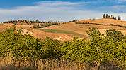 913: 713609-Val-d-Orcia.jpg