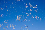2: 025432-plane-window-ice-crystals.jpg
