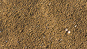 53: 433696-tracks-in-mudflat-sand-at-low-tide.jpg