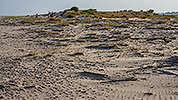 61: 433706-landscape-on-the-sandbar.jpg