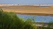 65: 433711-mudflat-at-low-tide-from-Robinson-beach-bar.jpg