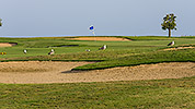 144: 434013-seabirds-in-the-golf-course.jpg