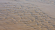 199: 434227-structures-in-mudflat-sand.jpg
