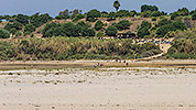331: 434583-Robinson-beach-bar-view-from-beach.jpg