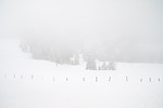 28: 027288-foggy-snowy-landscape.jpg