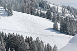 30: 030990-Snowboard-Spuren.jpg