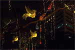 3: 024213-Christmas-lights-Orchard-street.jpg
