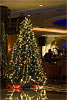 16: 024250-Orchard-hotel-Christmas-tree.jpg