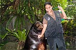 155: 024712-sealion-and-trainer.jpg