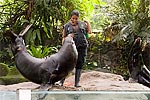 156: 024714-sealion-no19-and-trainer.jpg